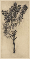 KG 1987 013
<br/>
Tak van een kersenboom
<br/>
<em>Dupont, Pieter (1870-1911)</em>